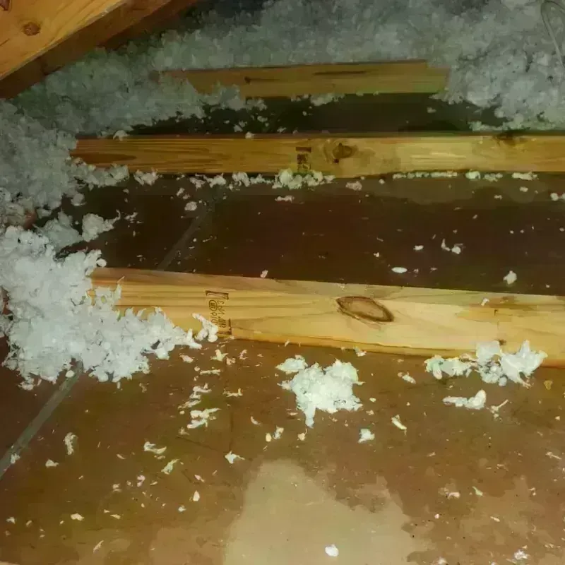 Attic Water Damage in Amagansett, NY